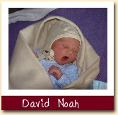 David  Noah