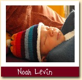 Noah Levin