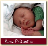Rosa Philomena