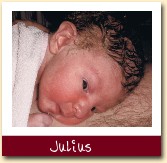 Julius 